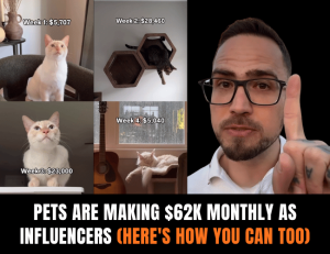 Pets Making Money as Influencers