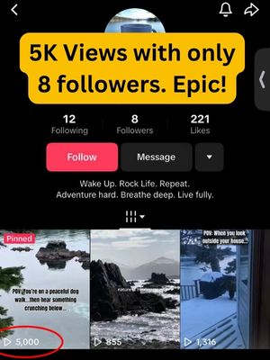 Smartphone_Freedom_Lifestyle_Review_14 Instant Viral Templates