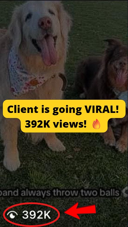 Got 392K views on a reel.