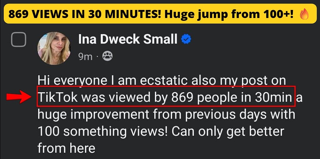 TikTok post got 869 views in 30 minutes