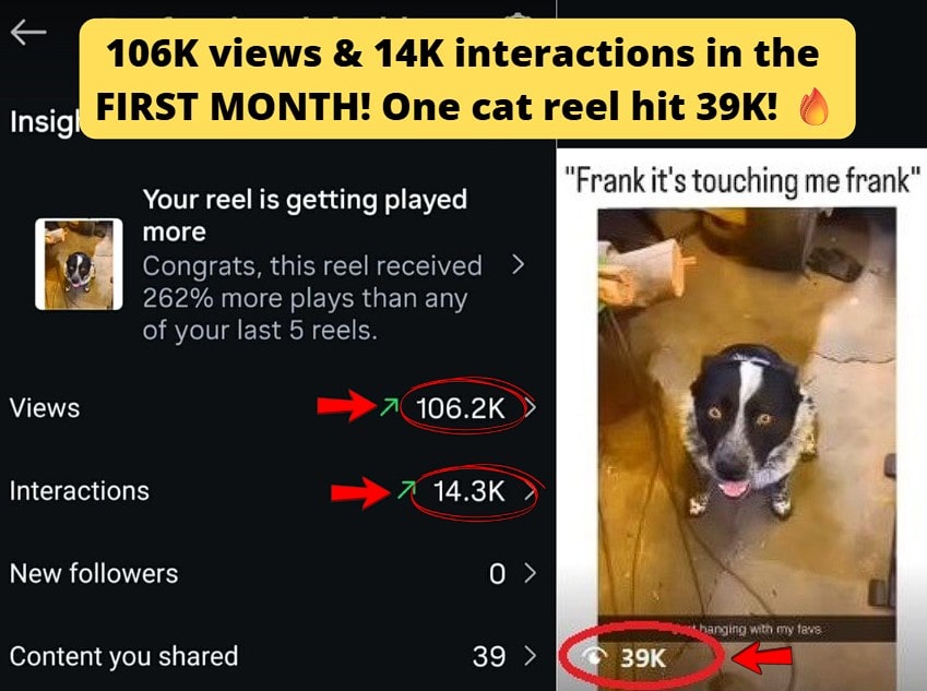 106.2K views; 14.3K interactions