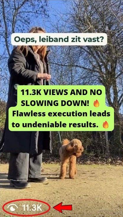 Reached 11.3K views on an Instagram Reel.