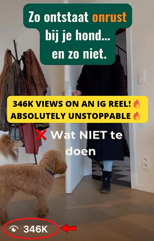 Smartphone_Freedom_Lifestyle_Review_604 Reached 346K views on an Instagram Reel.