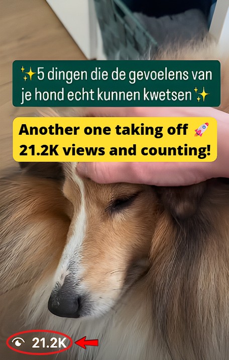 Smartphone_Freedom_Lifestyle_Review_800 Reached 21.2k views on IG.