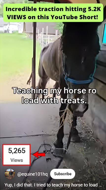 Smartphone_Freedom_Lifestyle_Review_921 YT Short generated 5.2k views.