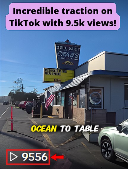 TikTok video generated 9.5k views.