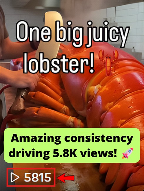 Smartphone_Freedom_Lifestyle_Review_967 TikTok video generated 5.8k views.