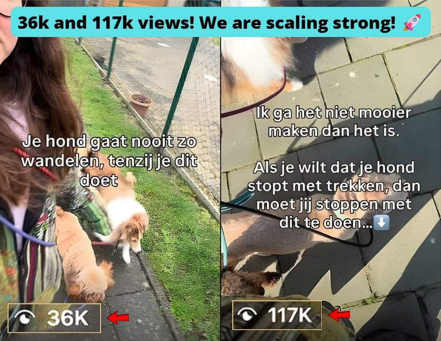 IG reels generated 36k and 117k views.