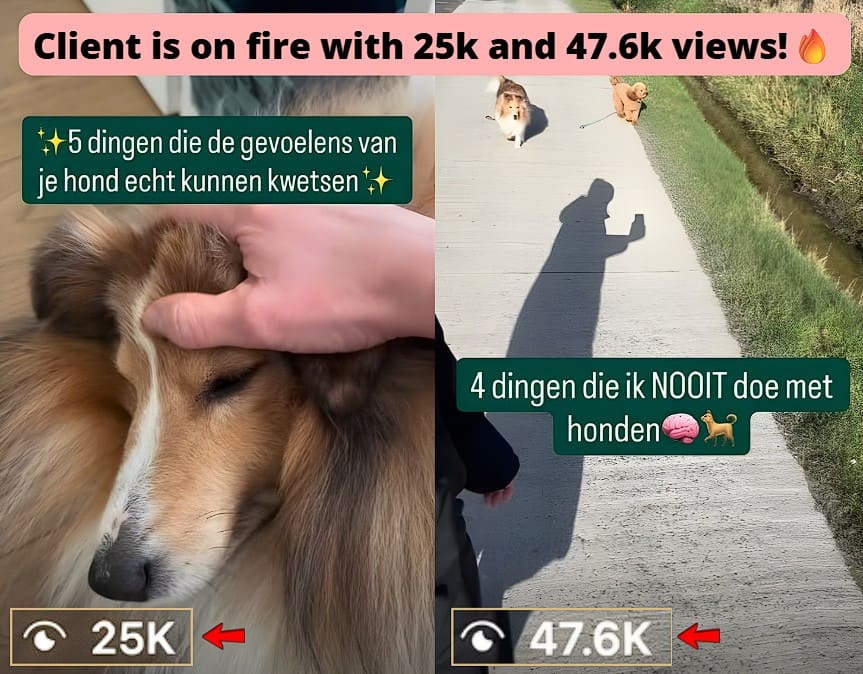 IG reels generated 25k and 47.6k views.