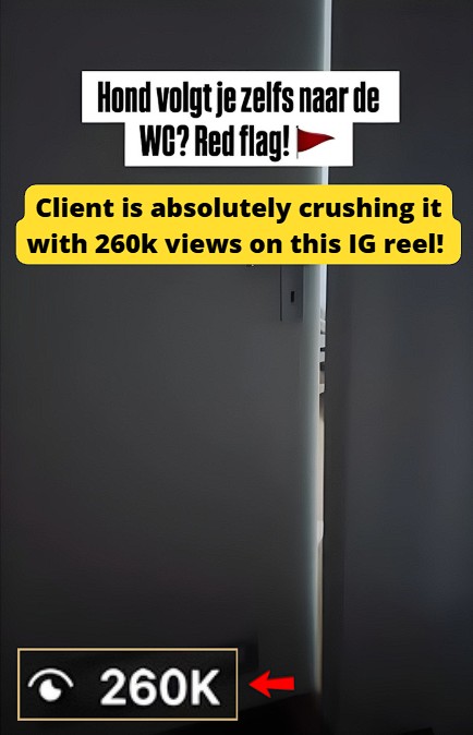 IG reel generated 260k views.