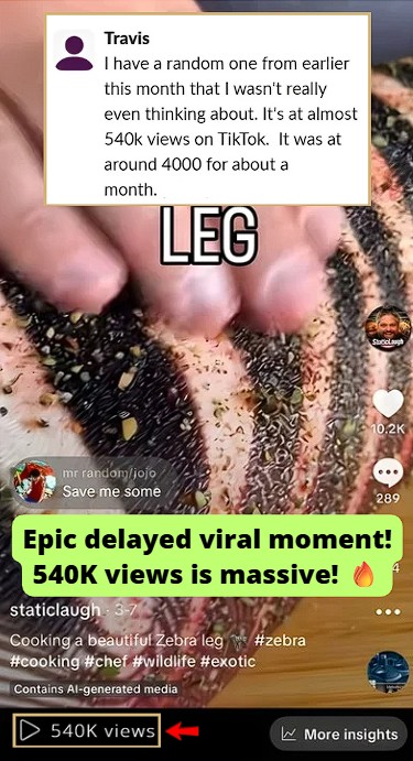 TikTok video reached 540K views.