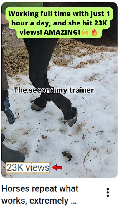 YT Short generated 23k views!