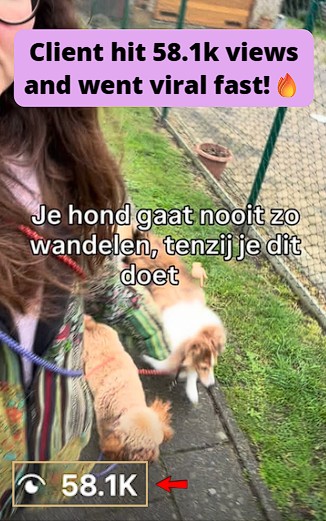 IG Reel generated 58.1k views.