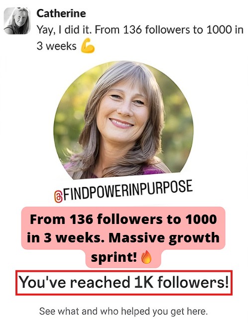 Started at 136 followers and rapidly grew to 1k followers within 3 weeks.