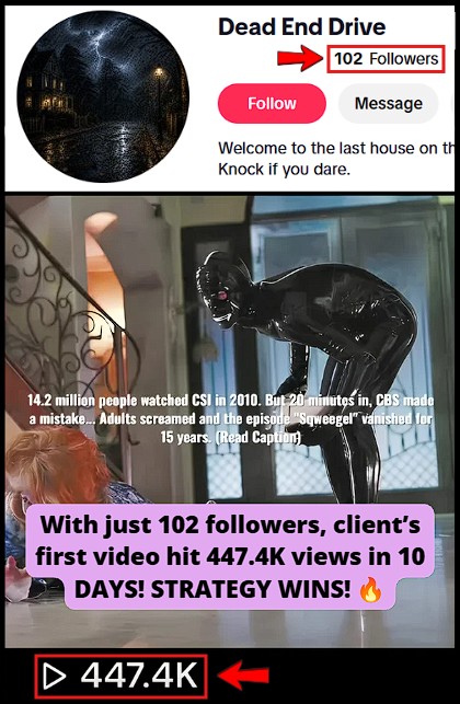 In just 10 days, client's FIRST video hit 447.4K views on TikTok