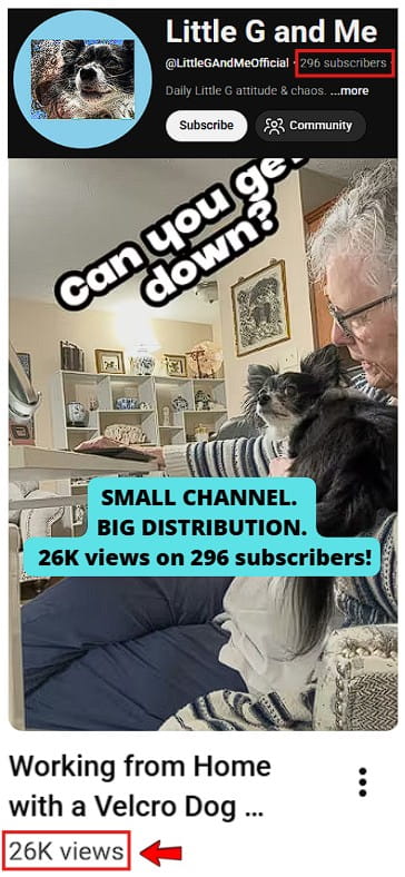 Smartphone_Freedom_Lifestyle_Review_1316 Client hit a 26K‑view breakout on YouTube Shorts.