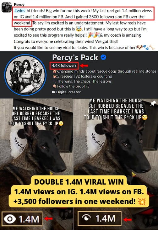 Smartphone_Freedom_Lifestyle_Review_1310 FB page with 4.4K followers generated 1.4M views on FB and 1.4M on IG, gaining 3.5K new FB followers in a single weekend.