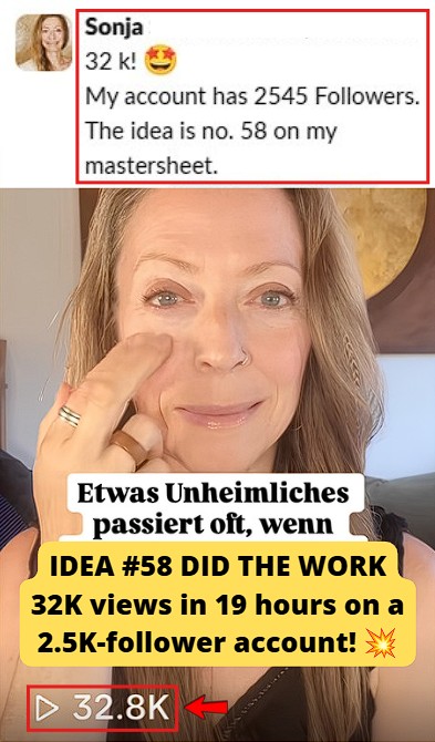 TikTok went viral with 32.8K views in 19 hours using one of the team’s content ideas.