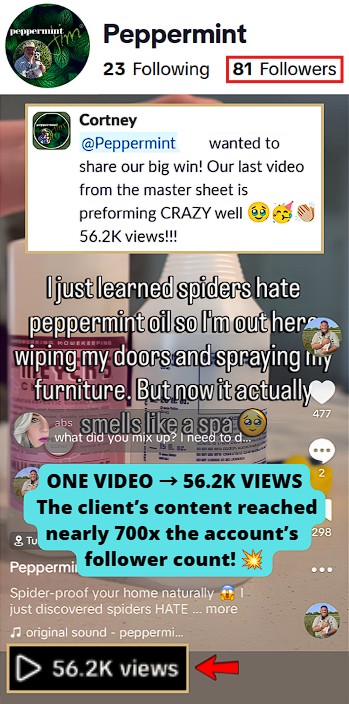 had a TikTok video from the master sheet reach 56.2K views
