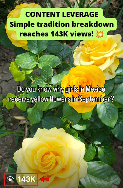 went viral again, generating 143K views on a cultural curiosity reel
