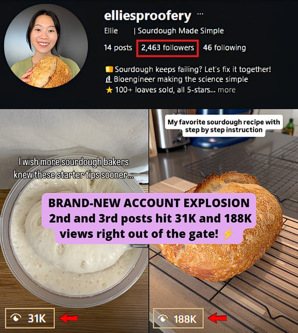 Launched a brand-new account and quickly gained traction, with 2nd and 3rd posts reaching 31K and 188K views!